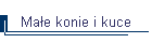 Mae konie i kuce